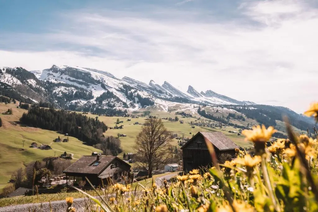 Hirschen Wildhaus - Chambres