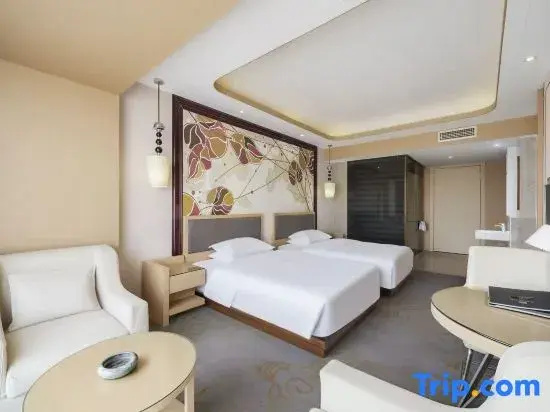 Superior Double room (twin beds)