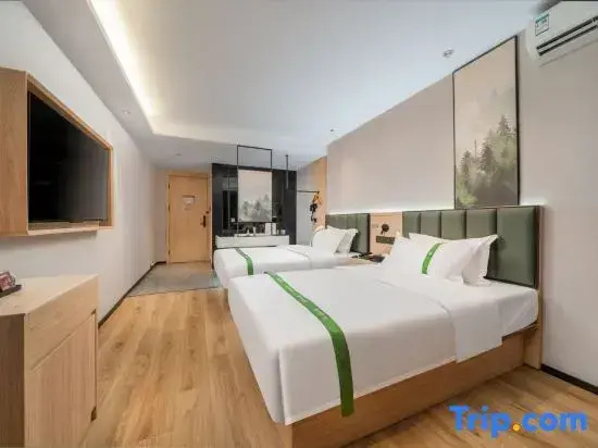 Superior Double room (twin beds)