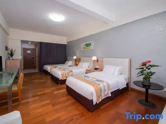 Pearl Bay Seaview - Chambres