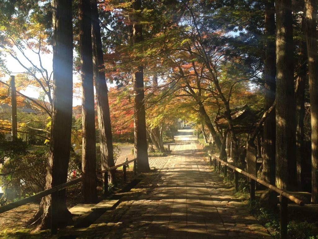 Taisho modern Villa ZEN 사진 1