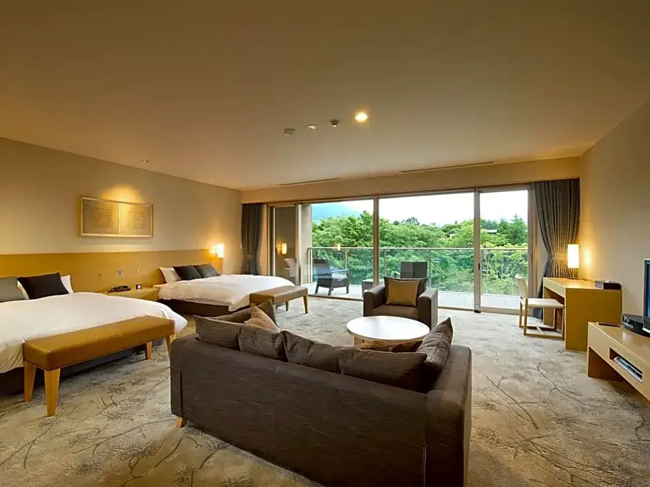 Deluxe Double room (twin beds)