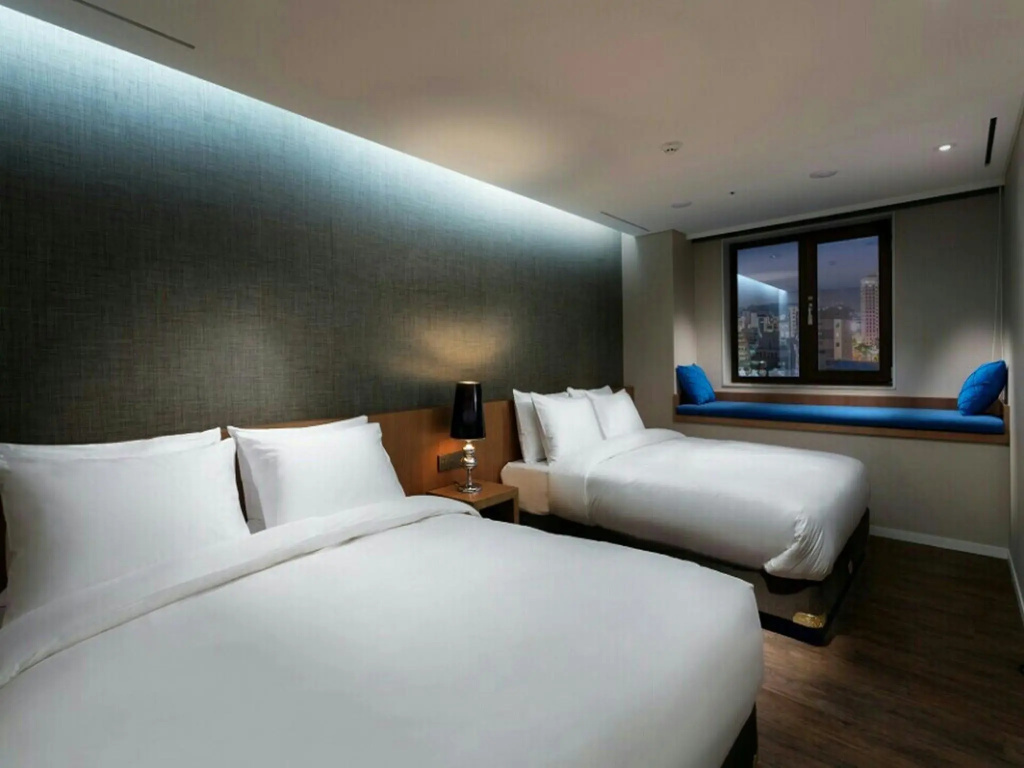 Amanti Hotel Seoul Hongdae - Général