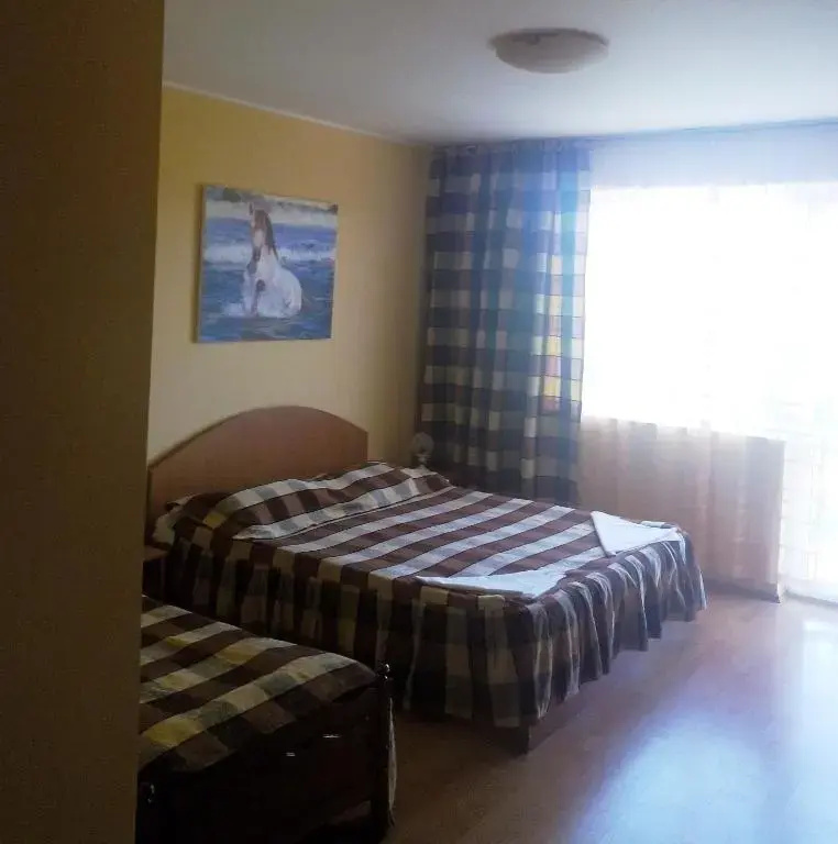 Pensiunea Dalena - Chambres