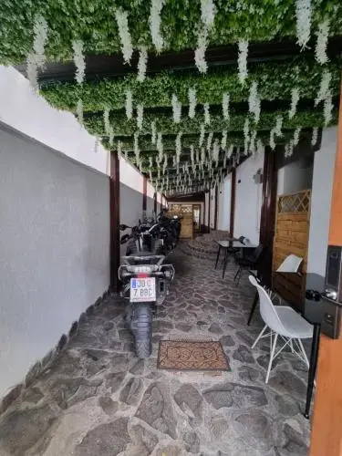 Casa Ober - Général