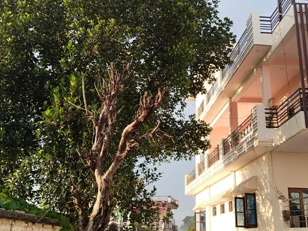 Airport Luxury Nature Valley Homestay