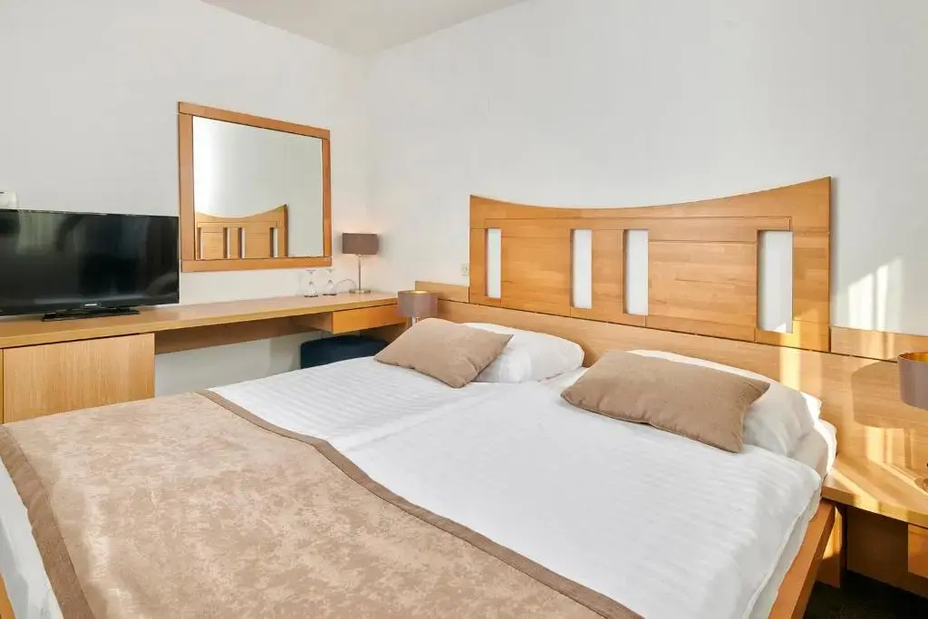Standard Double room (full double bed)