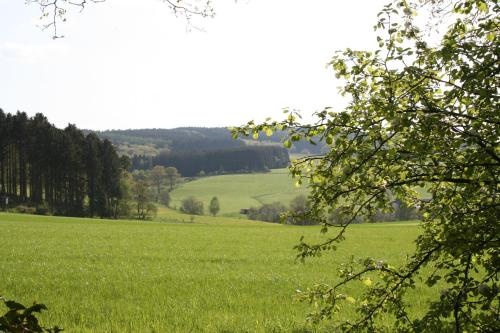 Hotel-Restaurant Haus Berkenbaum