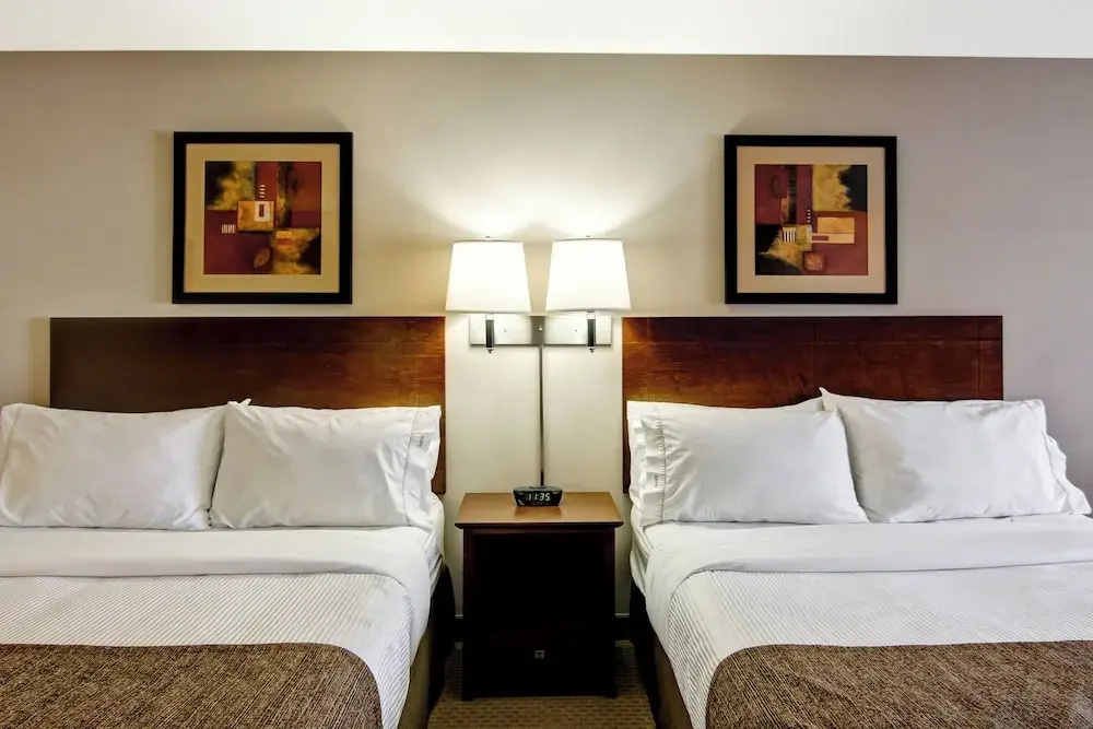 Standard Double Basement room (full double bed)
