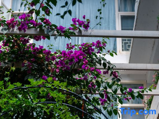 Dali Manglietia Soft Boutique Residence