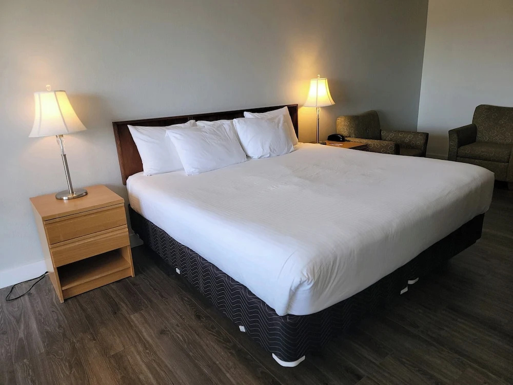 Standard Double room with garden view (full double bed)