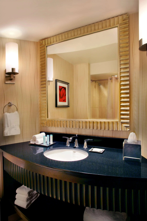 Hilton Rosemont Chicago O'Hare - Général