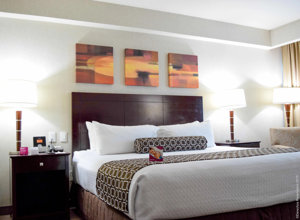 Crowne Plaza Leon by IHG — фото 3