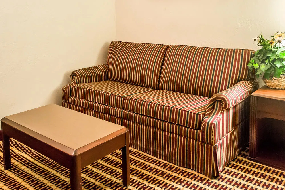 Econo Lodge Inn & Suites - фото 15
