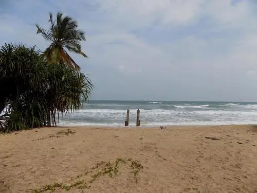Beach & Waterfront