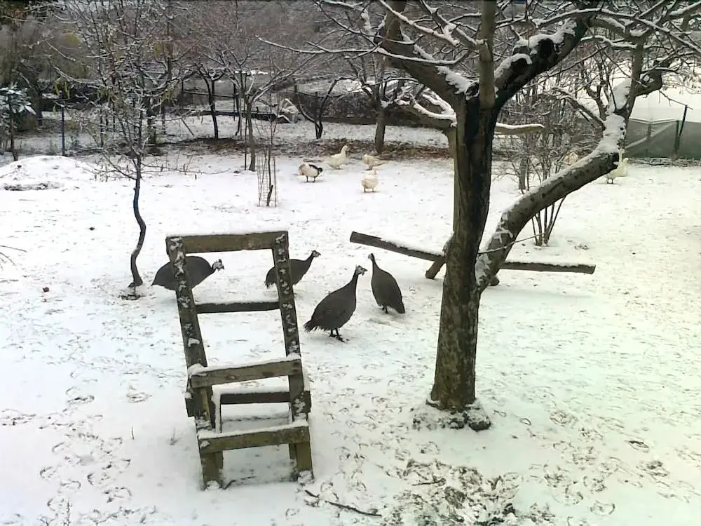 gallery_image_hidden_10