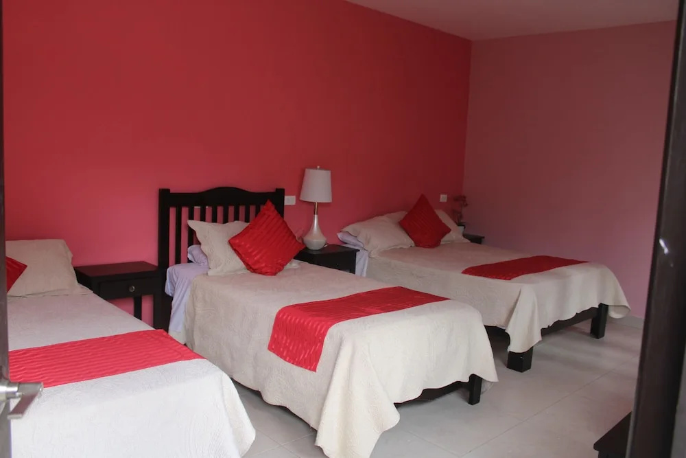 Hotel Boutique La Orquidea - Chambres
