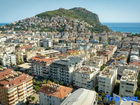1+1 Qoople Elize 6 apartments : in the heart of the city and near Cleopatra