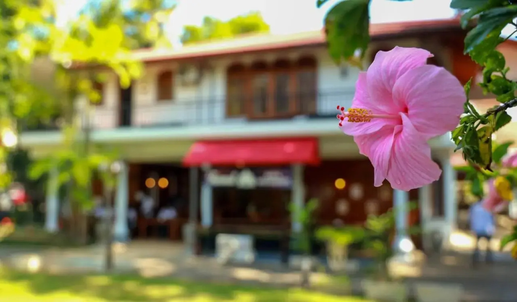 Wisdom Boutique Resort - фото 24