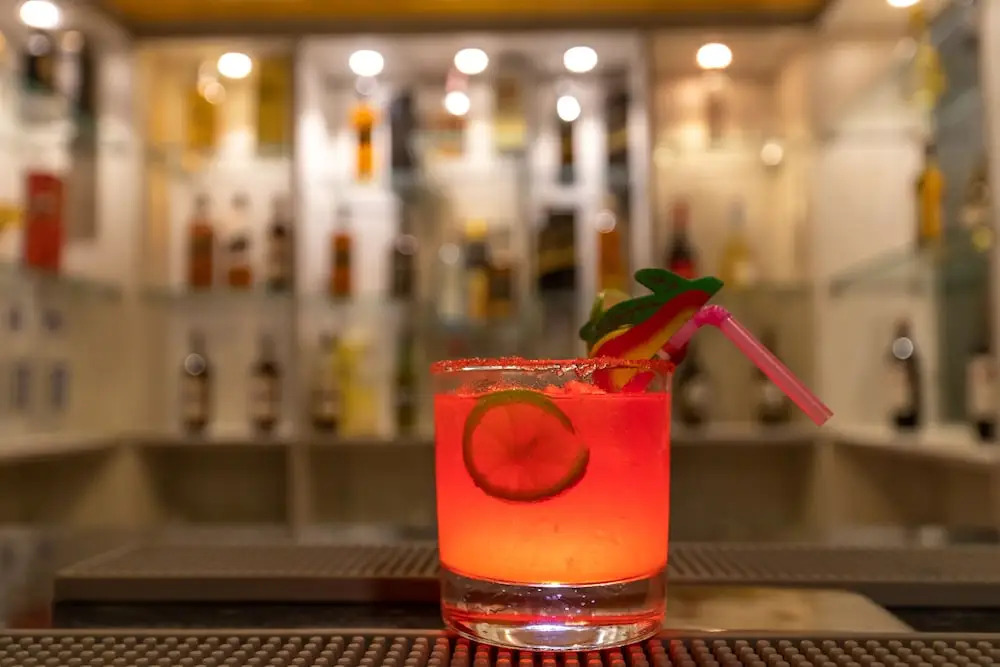 Gorakha Hotel - фото 4