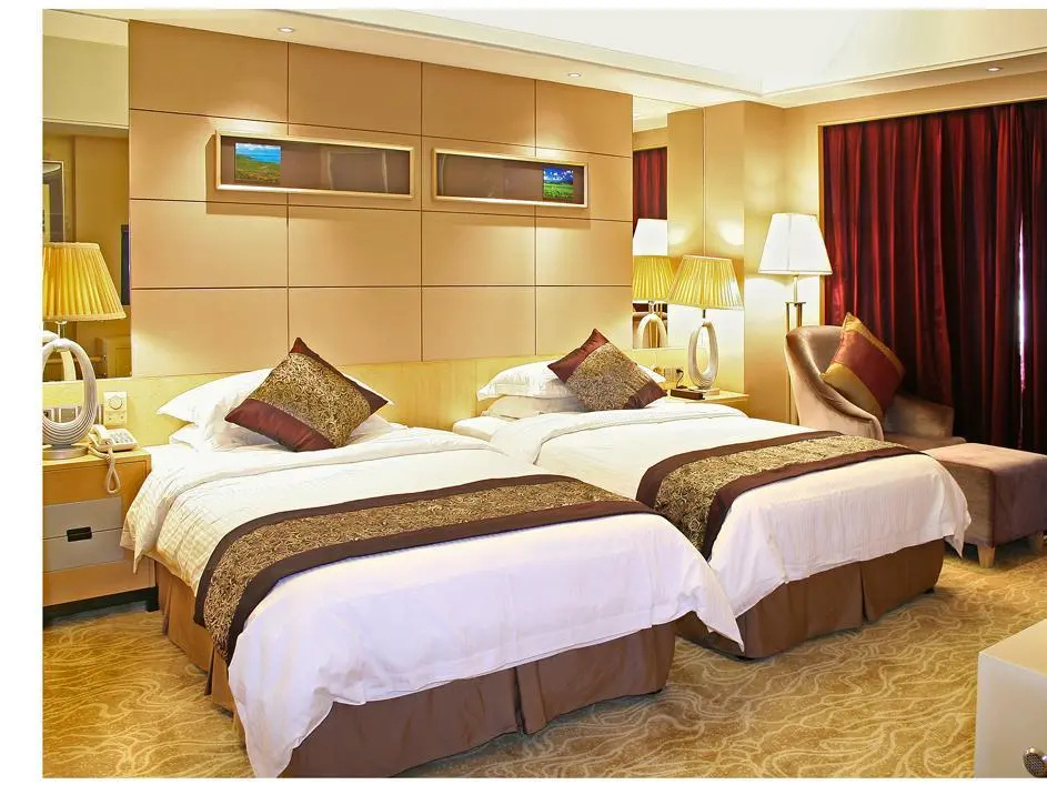 Deluxe Double room (twin beds)