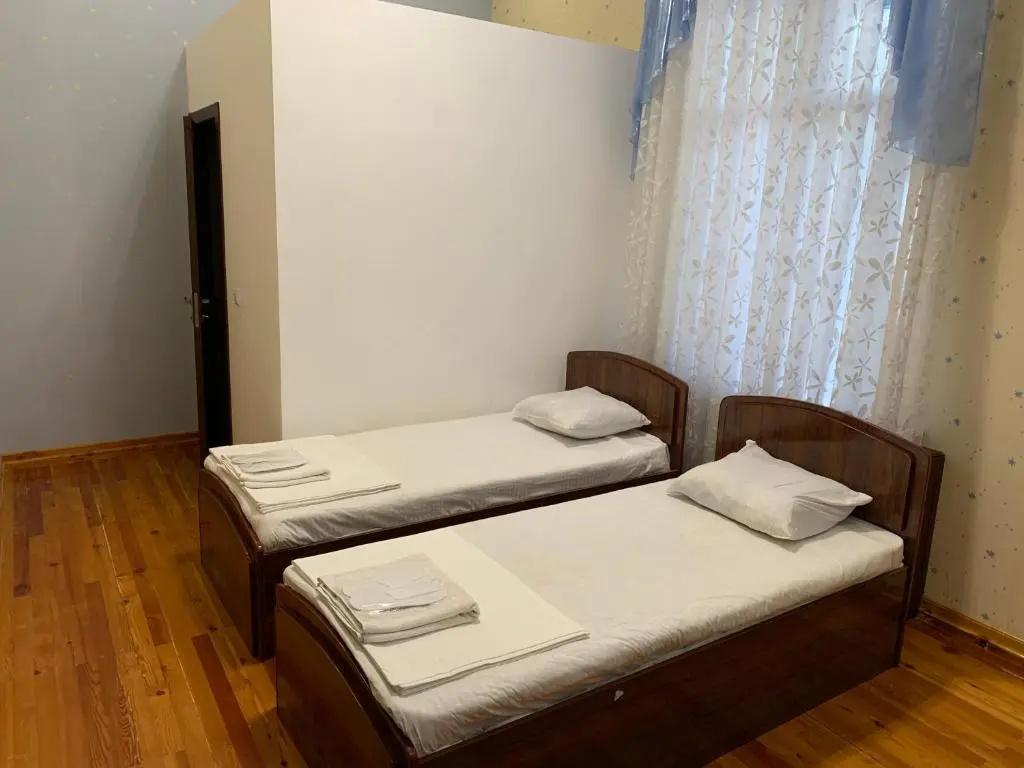 Deluxe Double room (twin beds)