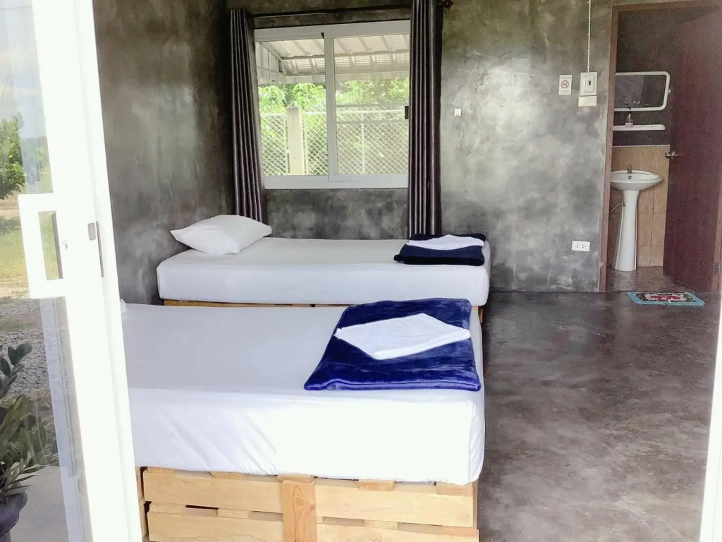 Standard Double room (twin beds)