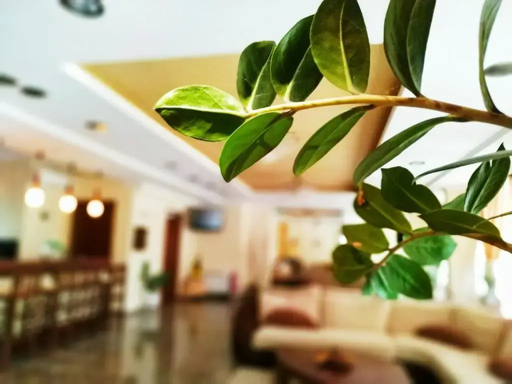 Filoxenia Hotel - фото 14