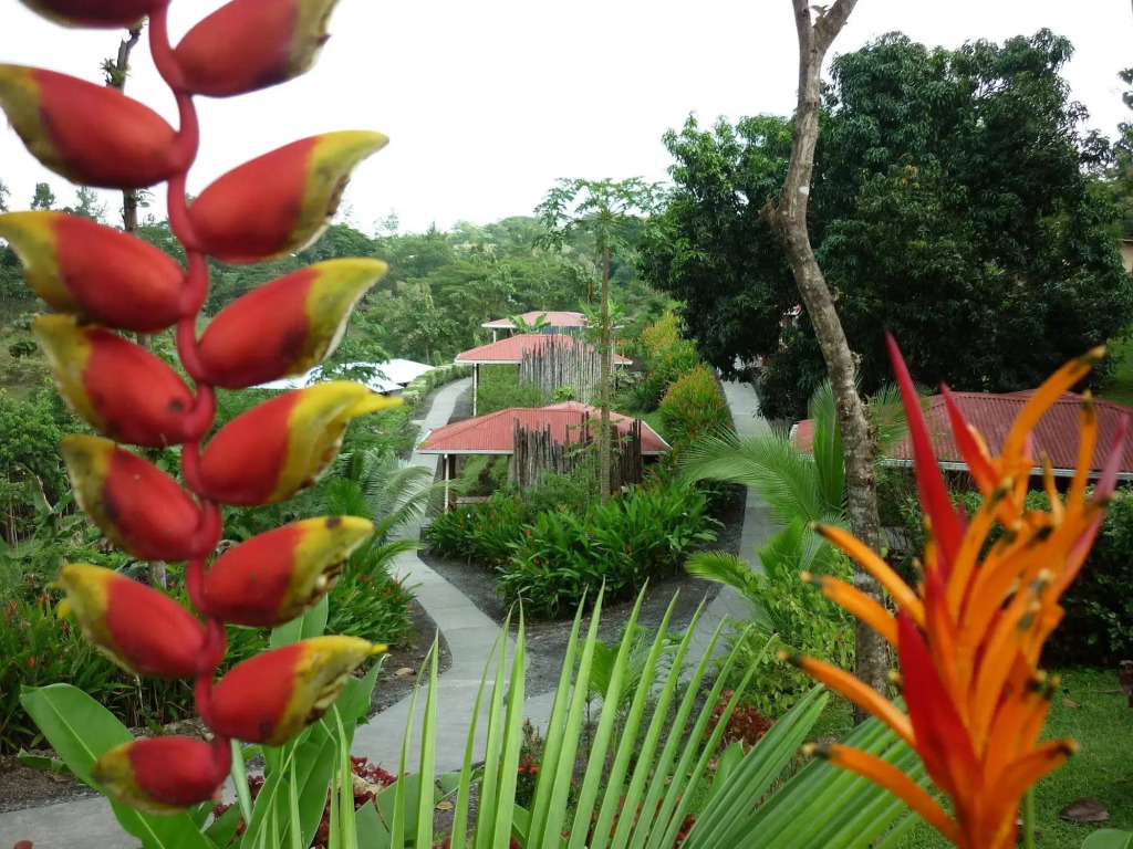 Hotel Cerro Lodge - фото 15