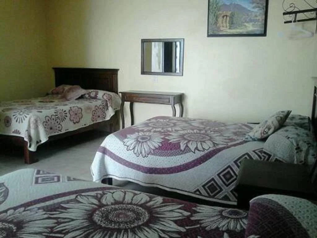Hotel Posada el Fuerte San Miguel - Général