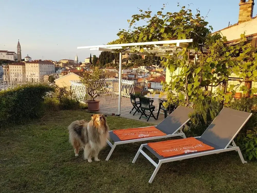 The Best View House
