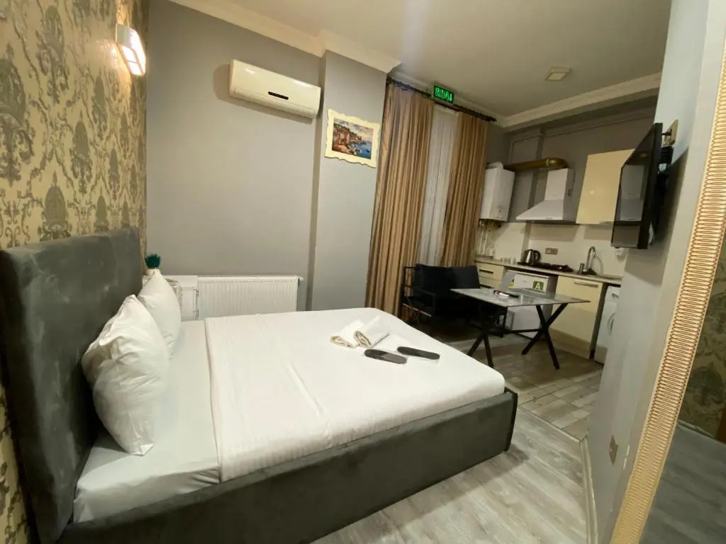 Standard Double room (full double bed)