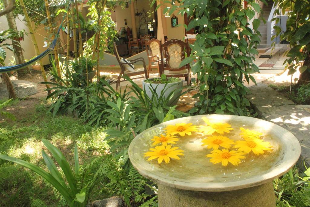 Dionis Villa