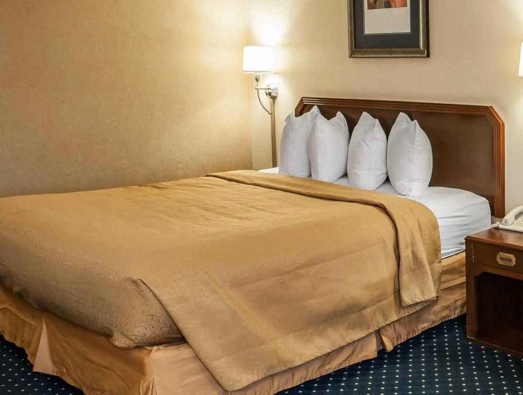 1 Bedroom Standard room