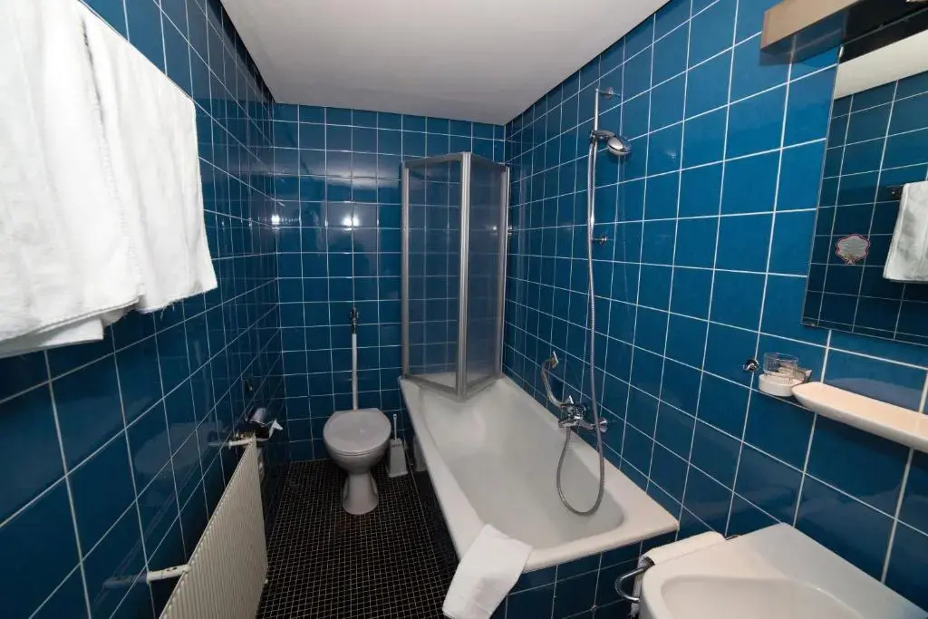 Hotel Diana Feldberg - Chambres