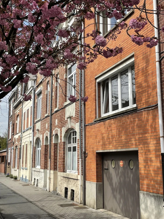 Belle maison avec grand jardin et garage