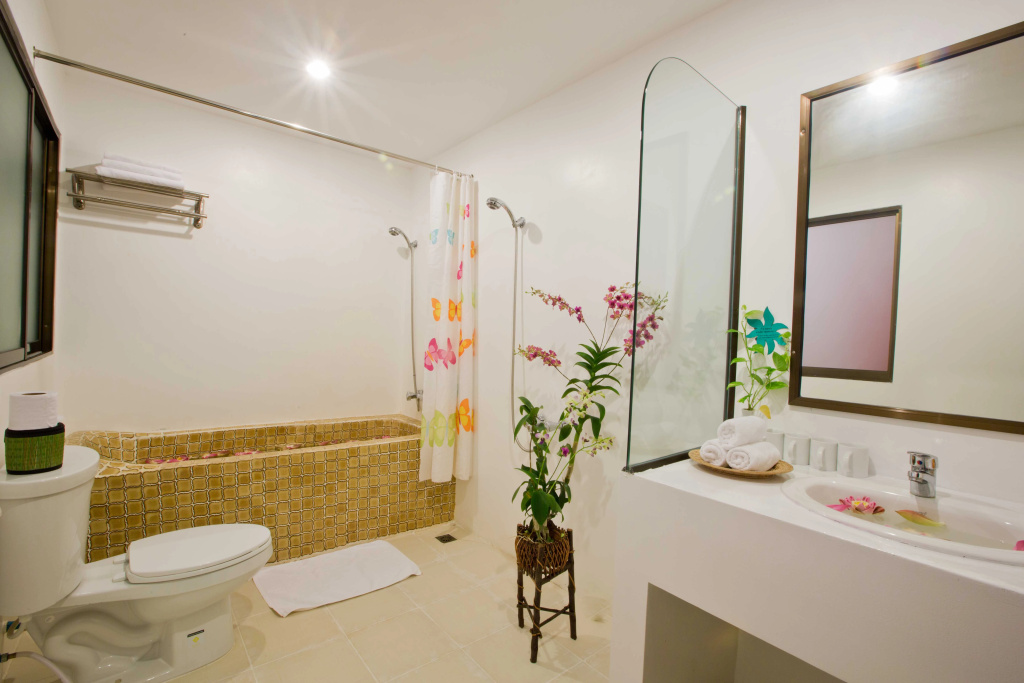 Central Boutique Angkor Hotel - Général