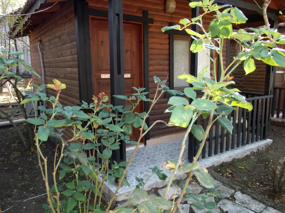 Comfort Bungalow