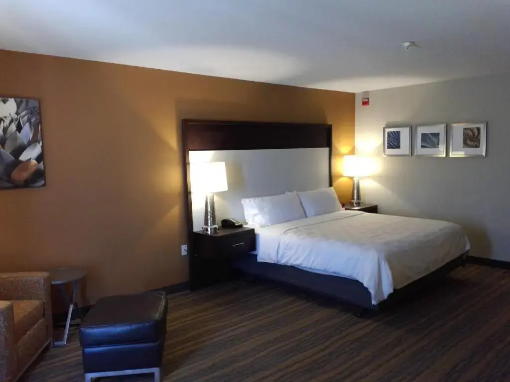 Holiday Inn & Suites Albuquerque-North I-25 by IHG - Chambres
