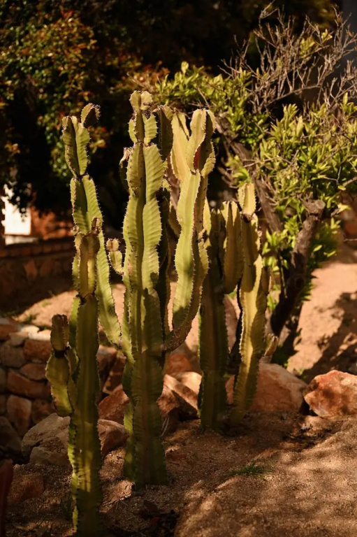 Hotel photo 46