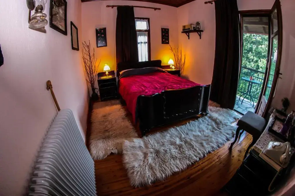 Standard Double room with mountain view (full double bed)