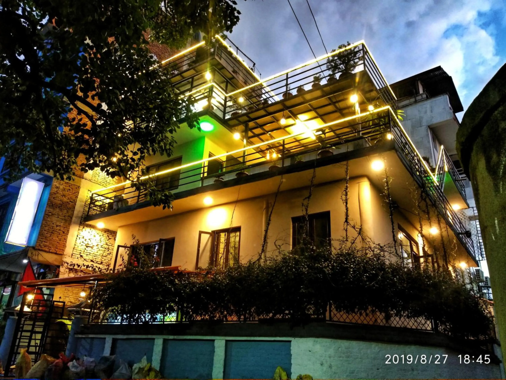 Big Tree Hostel
