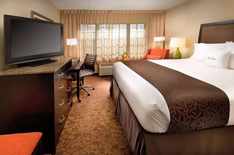 DoubleTree by Hilton Sterling - Dulles Airport - Chambres