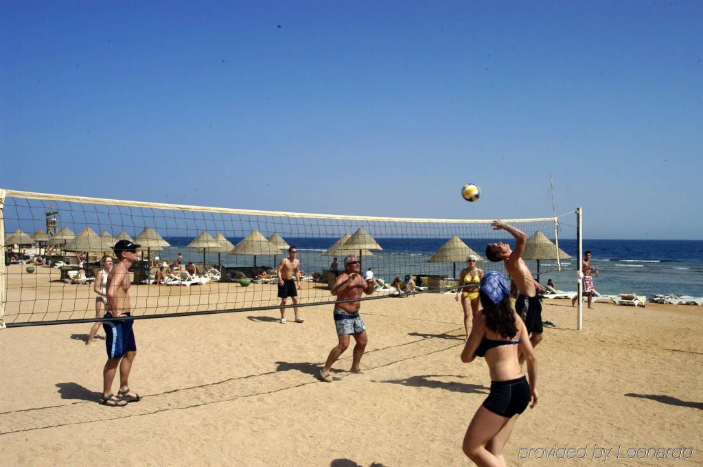 Parrotel Beach Resort: Play beach volleyball on the sandy shore, with loungers and thatched parasols by the sea.