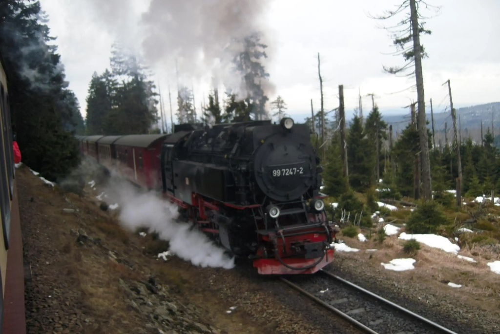 Ferienwohnung an der Brockenbahn