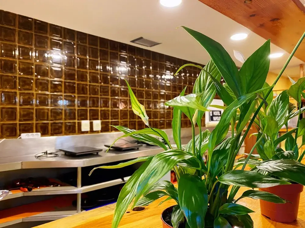 Hotel photo 29