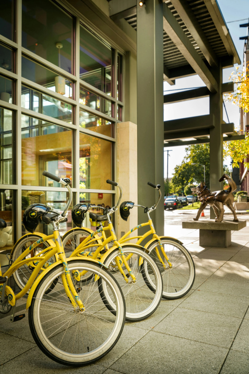 Staypineapple, Watertown Hotel, University District Seattle - Général