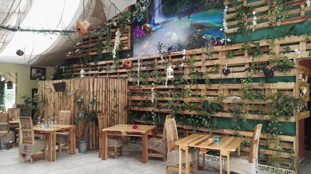 Hotel Finca L’Étoile Celeste - фото 22