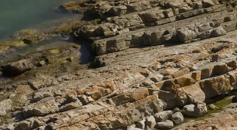 Plettenberg Park Hotel & Spa - фото 42