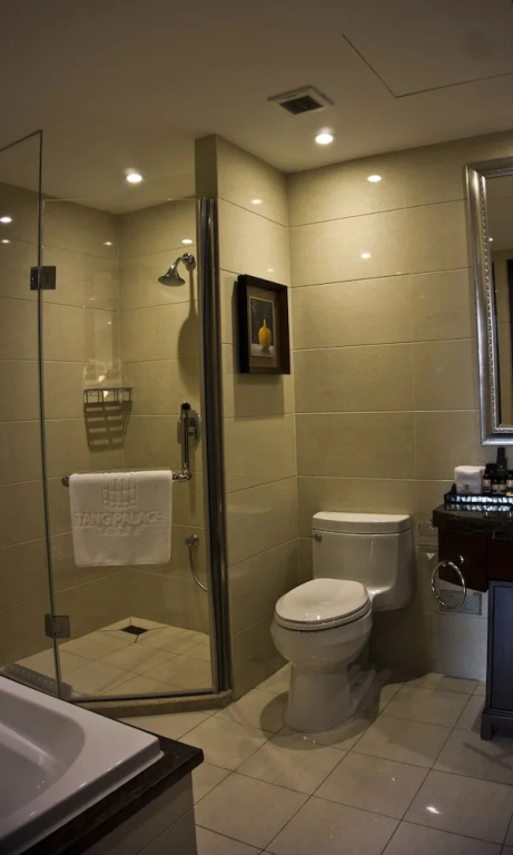 Tang Palace Hotel - Chambres
